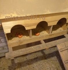Обустройство курятника своими руками.